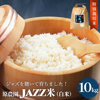 ふるさと納税 玖珠町 令和7年産 原農園 JAZZ米 (白米) 10kg にこまる JAZZ 有機栽培