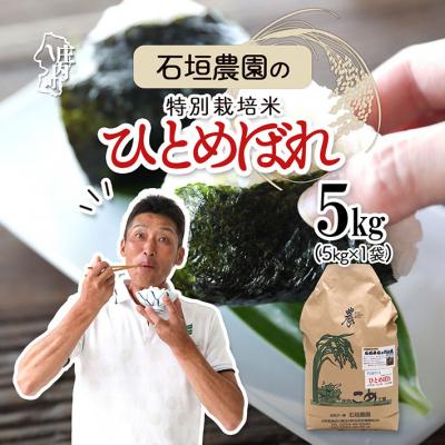 ふるさと納税 庄内町 石垣農園の特別栽培米 ひとめぼれ 5kg 令和7年産 2025年産 ブランド米