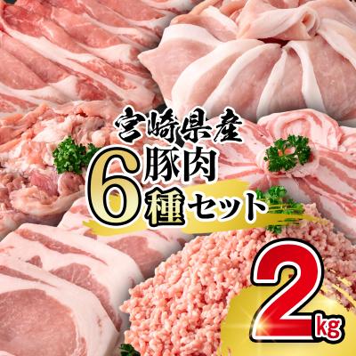 ふるさと納税 西都市 宮崎県産豚肉 6種バラエティ2kgセット小分け スライス/とんかつ/ミンチ/小間切れ[2870]