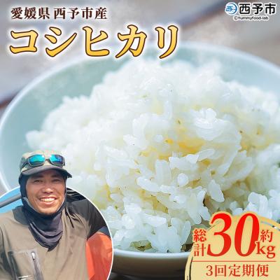 ふるさと納税 西予市 [先行受付]新米<令和8年産 愛媛県西予市産 コシヒカリ 10kg 3回 定期便>もとき農園