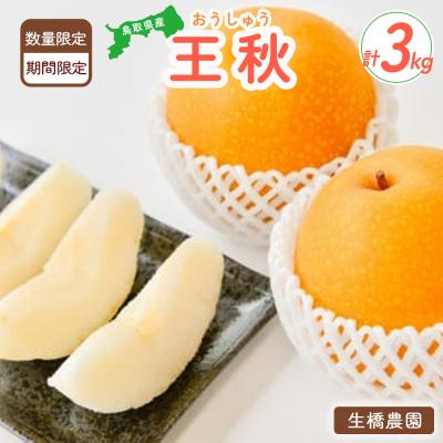 ふるさと納税 倉吉市 数量限定 王秋 3kg [鳥取県産](生橋農園) おうしゅう 果物 フルーツ 和梨