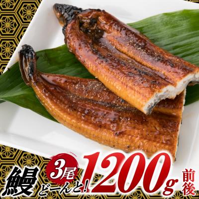 ふるさと納税 新宮町 うなぎの蒲焼3尾(計1,200g前後)『1〜2ヶ月前後でお届け!!』AC156.ST