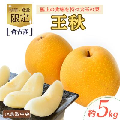 ふるさと納税 倉吉市 王秋 [倉吉産]5kg(JA鳥取中央) おうしゅう ブランド梨 果物 フルーツ 詰め合わせ
