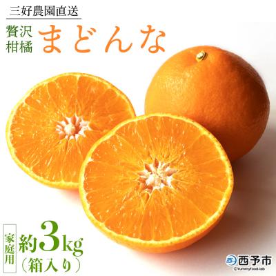 ふるさと納税 西予市 紅まどんなと同品種&lt;贅沢柑橘「まどんな」家庭用 箱込約3kg果物 三好農園マドンナ