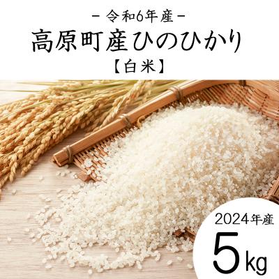 ふるさと納税 高原町 [令和6年産 古米]宮崎県高原町産ひのひかり白米5kg