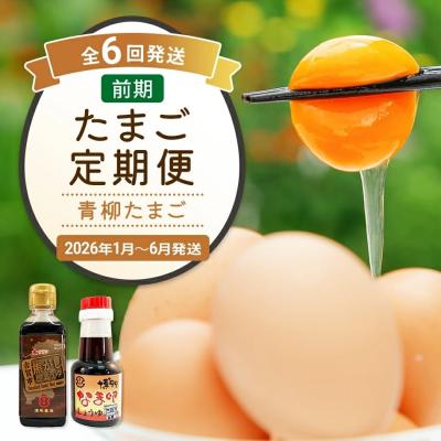 ふるさと納税 古賀市 [定期便(6回発送)]たまご(前期)定期便・青柳たまご 2025