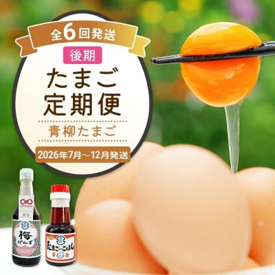 ふるさと納税 古賀市 [定期便(6回発送)]たまご(後期)定期便・青柳たまご 2025