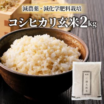 ふるさと納税 東御市 [令和7年産]八重原産 コシヒカリ 玄米 2kg[太陽と大地]