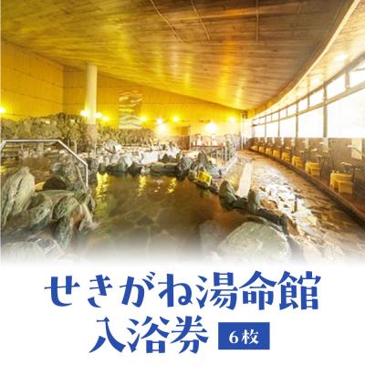 ふるさと納税 倉吉市 せきがね湯命館入浴券 6枚 温泉 入浴券 入浴