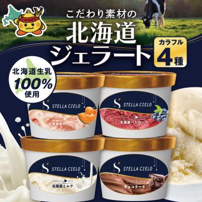 ふるさと納税 岩見沢市 STELLA CIELO 北海道ジェラート4個 カラフル