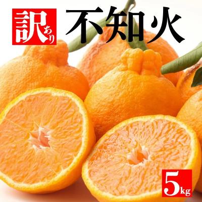 ふるさと納税 愛南町 訳あり 不知火 5kg 家庭用 サイズミックス フルーツ 愛媛県 愛南町 和家農園