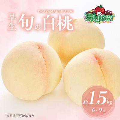 ふるさと納税 赤磐市 桃 2026年 先行予約 早生の旬の 白桃 約1.5kg 6〜9玉 進物用[NO5765-1415]