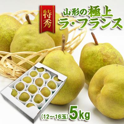 ふるさと納税 山形市 [特秀]山形の極上 ラフランス 特秀品 約5kg [12月発送][令和8年産]FS25-781