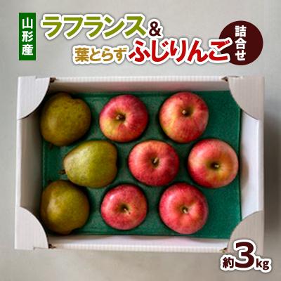 ふるさと納税 山形市 ラフランス&amp;葉とらずふじりんご 詰合せ 約3kg FZ22-932