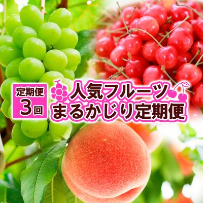 ふるさと納税 山形市 【定期便3回】人気フルーツ まるかじり定期便 FZ25-726 | 