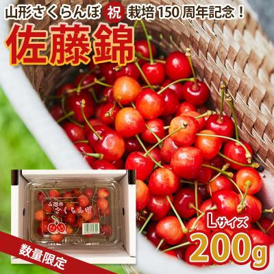 ふるさと納税 山形市 栽培150周年!佐藤錦 200g L玉 数量限定![令和8年産先行予約]FS25-060