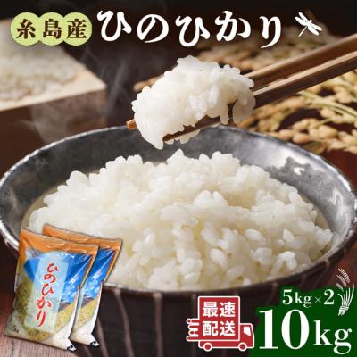 ふるさと納税 糸島市 糸島産 ひのひかり 10kg 糸島市/三島商店[AIM004] | 