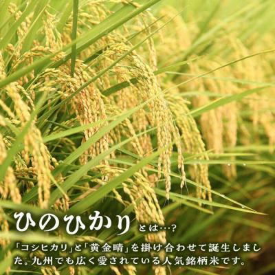 ふるさと納税 糸島市 糸島産 ひのひかり 10kg 糸島市/三島商店[AIM004] |  | 01