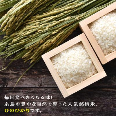 ふるさと納税 糸島市 糸島産 ひのひかり 10kg 糸島市/三島商店[AIM004] |  | 02