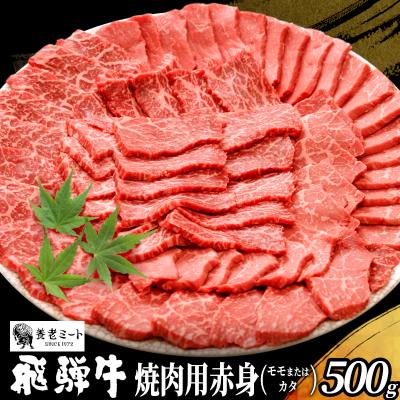 ふるさと納税 東白川村 飛騨牛 モモまたはカタ 焼肉用 500g 2〜3人前 牛肉 和牛 養老ミート