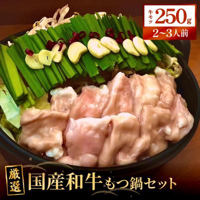 ふるさと納税 石巻市 もつ鍋セット(2-3人前)国産 国産牛 牛もつ鍋 もつ鍋 鍋 牛モツ 和牛モツ ホルモン 鍋セット