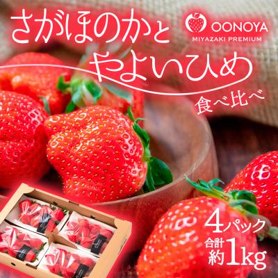 ふるさと納税 西都市 やよいひめ×さがほのか いちご食べ比べ2種4パック 苺大野屋[今季限定][2900]