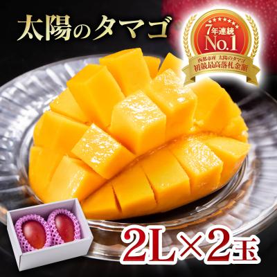 ふるさと納税 西都市 [令和8年6月発送]西都市産完熟マンゴー 太陽のタマゴ2L×2玉[先行受付][2908]