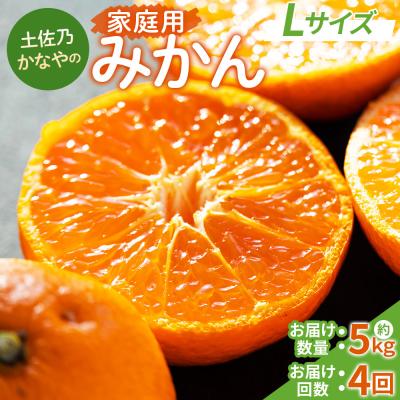 ふるさと納税 香南市 [みかん定期便4回]土佐乃かなやの家庭用みかん5kg(Lサイズ)×4回 計20kg Wbe-0091