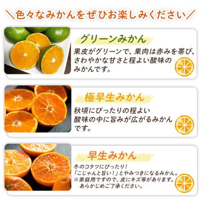 ふるさと納税 香南市 【みかん定期便4回】土佐乃かなやの家庭用みかん5kg(Lサイズ)×4回 計20kg Wbe-0123_2