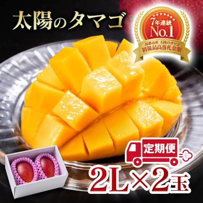 ふるさと納税 西都市 [令和8年2ヶ月定期便]西都市産完熟マンゴー 太陽のタマゴ2L×2玉[先行受付][2911]