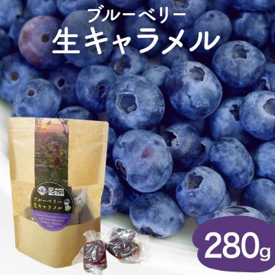 ふるさと納税 石巻市 ブルーベリー 生キャラメル 280g 無添加 摘みたて 自然栽培 手作り 果実 100% キャラメル
