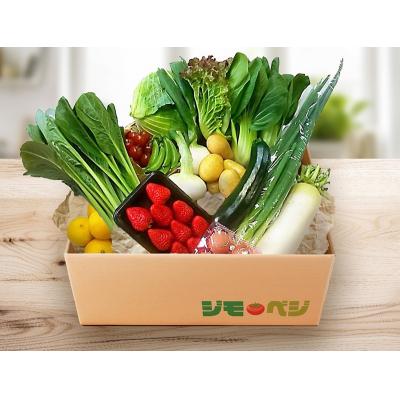 ふるさと納税 焼津市 ジモベジ野菜セット(a10-1232)
