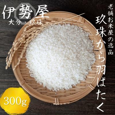 ふるさと納税 玖珠町 [10月下旬頃順次発送]令和7年産 新米 お試しパック 玖珠から羽ばたく 精白米 2合入