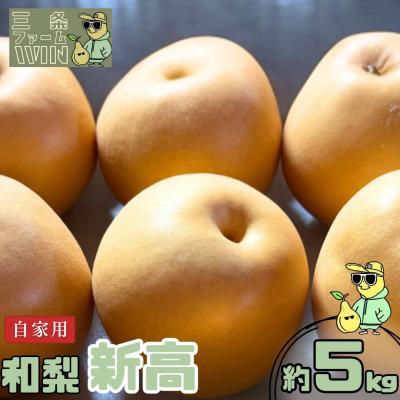 ふるさと納税 三条市 和梨 新高 自家用 約5kg 令和8年度 [三条ファームWIN] 【010S839】 | 