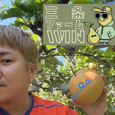 ふるさと納税 三条市 和梨 新高 自家用 約5kg 令和8年度 [三条ファームWIN] 【010S839】 |  | 02