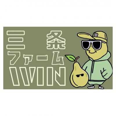 ふるさと納税 三条市 和梨 新高 自家用 約5kg 令和8年度 [三条ファームWIN] 【010S839】 |  | 03