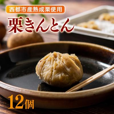 ふるさと納税 西都市 [年末発送]低温熟成栗使用!栗きんとん 6個入り×2 合計12個[先行受付][2324]