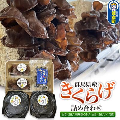 ふるさと納税 板倉町 きくらげ 詰め合わせセット 群馬県産 3種 計5個|13_sko-010101