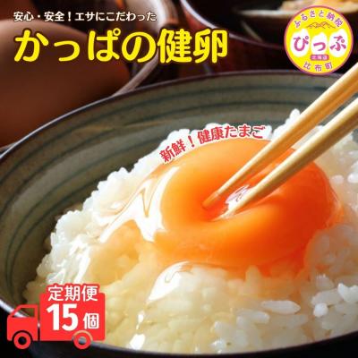 ふるさと納税 比布町 元気な鶏から産まれた健康なたまご!「かっぱの健卵」15個 3か月定期便[大熊養鶏場]