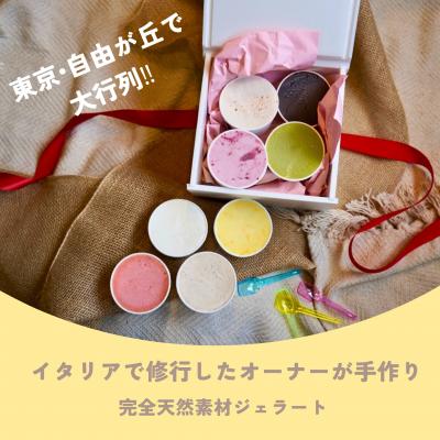 ふるさと納税 世田谷区 季節の天然素材ジェラート AmiCono seasonal 8種8CUPS SET
