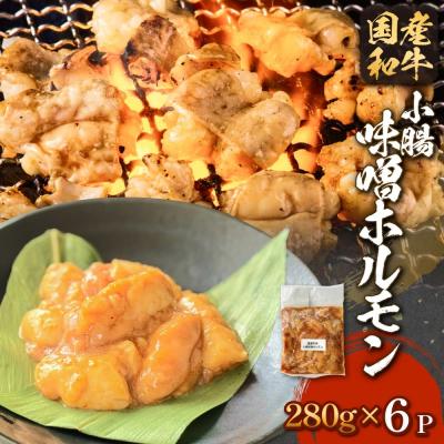 ふるさと納税 石巻市 国産和牛 味噌 ホルモン 6P 味噌ホルモン 牛ホルモン 小腸 国産 宮城県産 味付 モツ 肉 牛