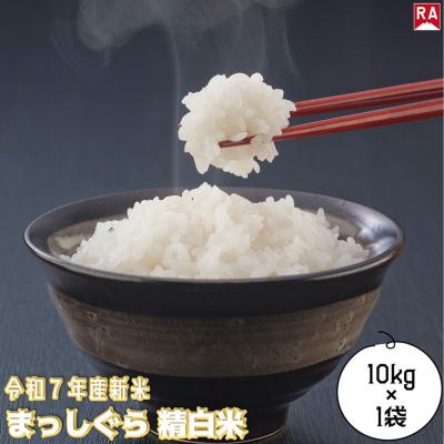 ふるさと納税 弘前市 [新米]まっしぐら 白米 10kg 青森米 令和7年産 青森県弘前市|24_rap-201001