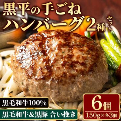 ふるさと納税 いちき串木野市 鹿児島県産黒毛和牛100%黒平ハンバーグ&amp;黒豚の合い挽きふっくらハンバーグセット(150g×各3個)
