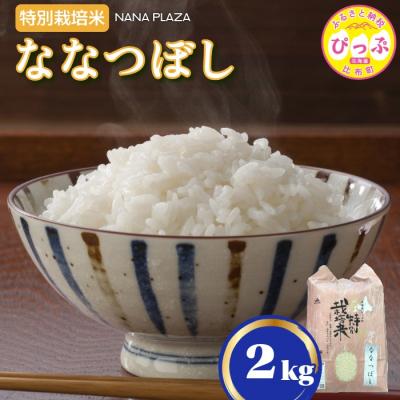 ふるさと納税 比布町 令和7年産 ナナプラザ 特別栽培米ななつぼし 2kg