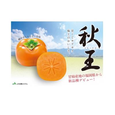 ふるさと納税 新宮町 新ブランド柿『秋王』約1.5kg/2026年10月〜11月発送予定[秋王]