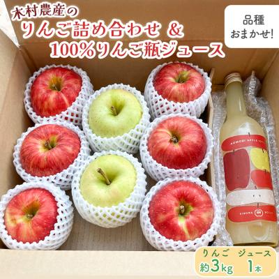 ふるさと納税 つがる市 りんご詰合せ約3kg・りんご瓶ジュースセット1本 [0912]