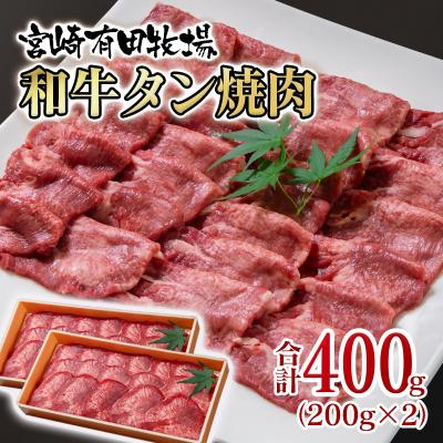 ふるさと納税 西都市 黒毛和牛タン400g (200g×2)小分け 薄切り牛タン(味付けなし)宮崎有田牧場[2833]