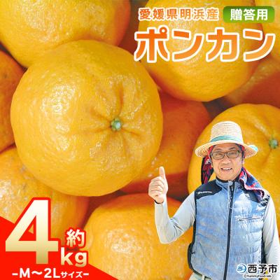 ふるさと納税 西予市 先行予約&lt;明浜産 ポンカン M〜2Lサイズ 約4kg 贈答用&gt; 果物 俵津農地ヘルパー組合