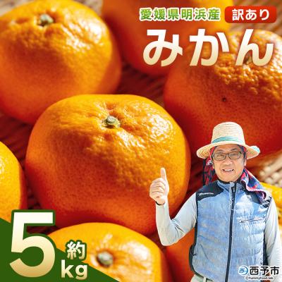 ふるさと納税 西予市 先行予約&lt;明浜産 訳あり みかん 約5kg&gt; 果物 俵津農地ヘルパー組合