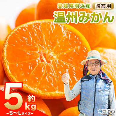 ふるさと納税 西予市 先行予約&lt;明浜産 温州みかん S〜Lサイズ 約5kg 贈答用&gt; 果物 くだもの俵津農地ヘルパー組合